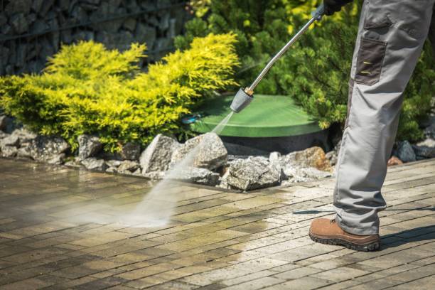 Best Winterizing Services  in Vermilion, OH