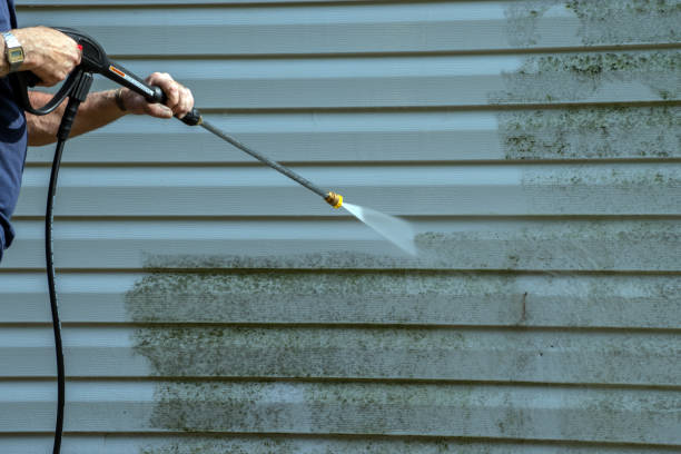 Best Graffiti Removal  in Vermilion, OH